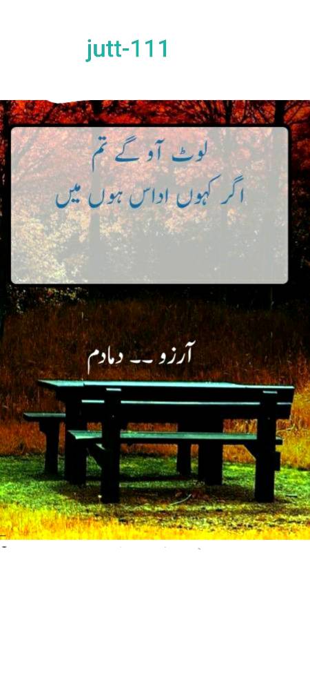 سچ میں پیار و محبت سے بہت دور نکل گیا کوئی