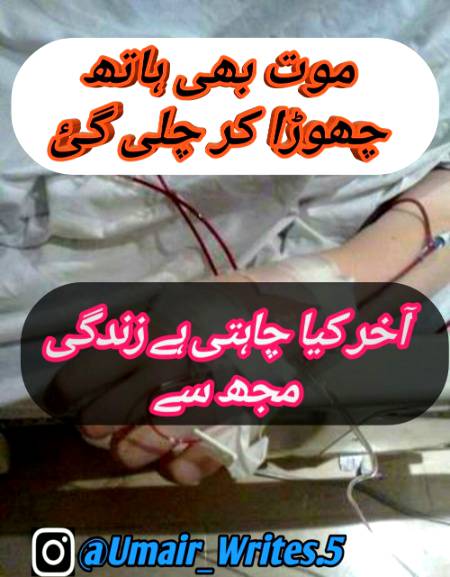 For u m
Fyp