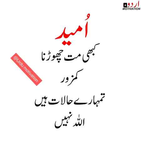 💘💘 wajeeha 💘💘