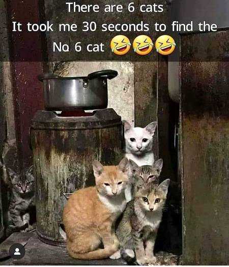 Can u find it