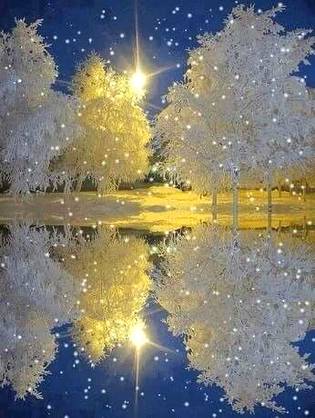 Beautiful winter photography🔥🔥💕💞