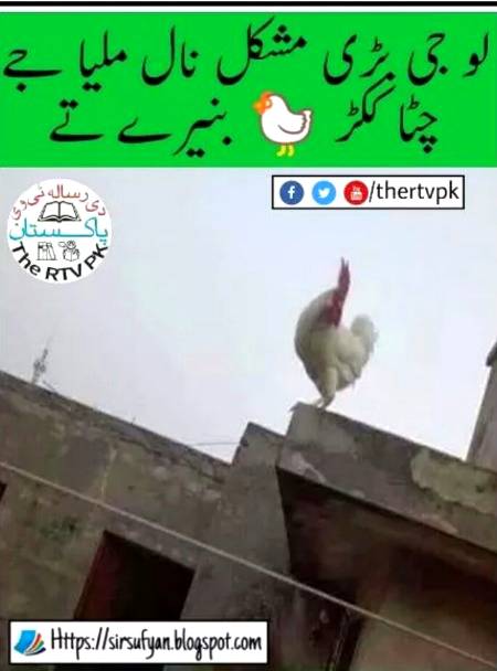 lo g aj mil hi gea