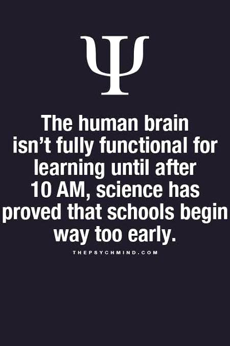 Psy fact...