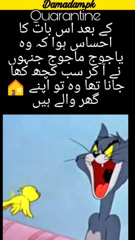 یاجوج ماجوج