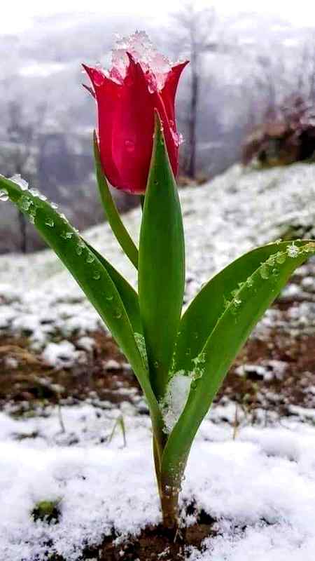 دنیا نفیس عمدہ اور باکمال لوگو سے بھری پڑی ہے --- اگر کسی کو تلاش کرنے میں ناکام رہو تو خود باکمال ہو جاؤ----"