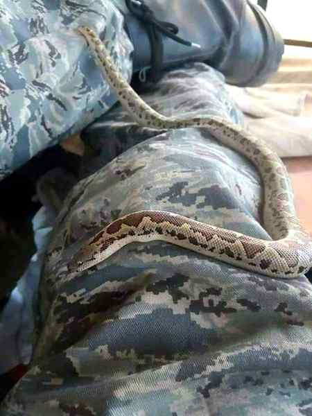 دیـوانہ کـــر گــئے وہ اک نـظــر دیکــھ کــر..💞

ہم کچھ بھــی نہ کـر ســکے بار بار دیکـھ کــر---💞