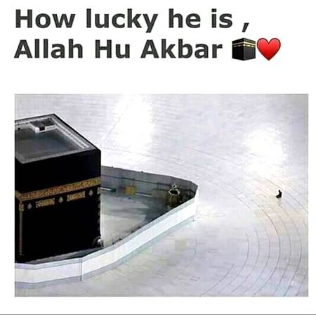 How Lucky He Is 😢❤