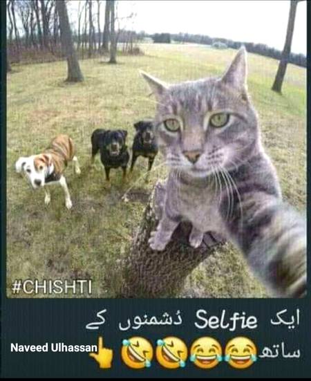 Hahha laani chahiya dushmn bhi akhir apny hi hOty hao