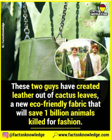 Did you know