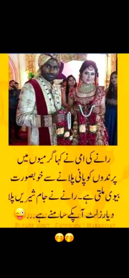 Jam e shiri .wah rana g chaa gaye...