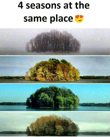4 seasons of this place