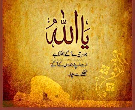 اَلسَلامُ عَلَيْكُم وَرَحْمَةُ اَللهِ وَبَرَكاتُهُ
جمعہ مبارک
صبح بخیر
