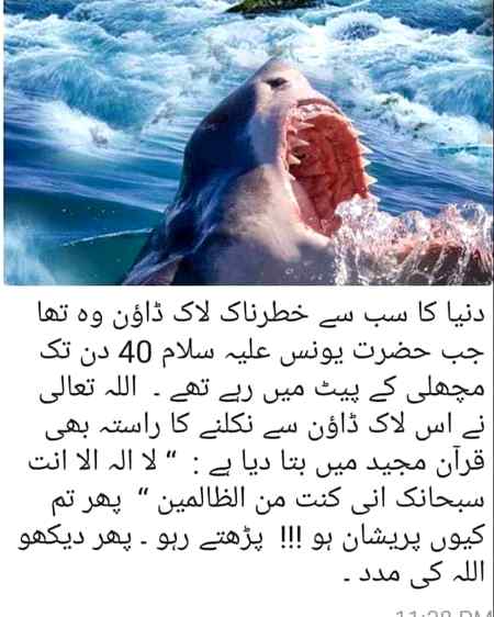 Sending by fareed ahmed shaikh