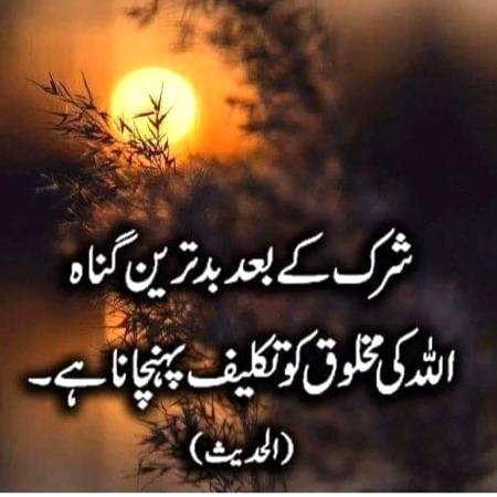 🌹🌹🌹صلی اللہ علی حبیبہ محمد نور من نوراللہ وعلی آلہ واہل بیتہ وعترتہ وازواجہ وصحبہ وجدہ وذریتہ و کل امتہ وبارک وسلم کثیراً کثیرا و دائماً ابدا 🌹🌹🌹
