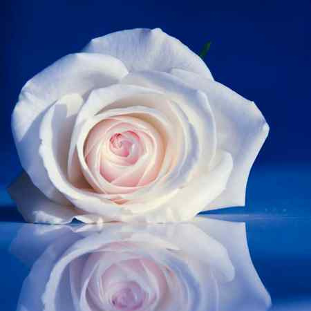 Hum tere Mohabbat may Yoo pagal rhtay hay .deewanay bhe ab hm ko deewana khtay hay .💐🌹🌹🌺🌺🌺💐🥀🌱🌱🌱🌹💐