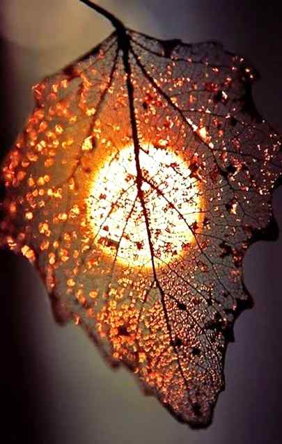 Photography 😍😍❤❤✌✌