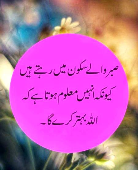 🌹🌹🌹صلی اللہ علی حبیبہ محمد نور من نوراللہ وعلی آلہ واہل بیتہ وعترتہ وازواجہ وصحبہ وجدہ وذریتہ و کل امتہ وبارک وسلم کثیراً کثیرا و دائماً ابدا 🌹🌹🌹