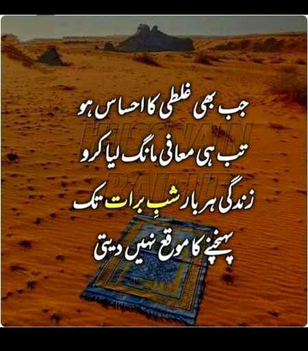 True 🌹🌹🌹🌹