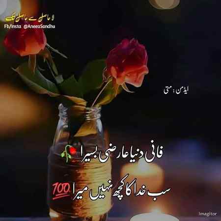 Beshak ...❤️❤️