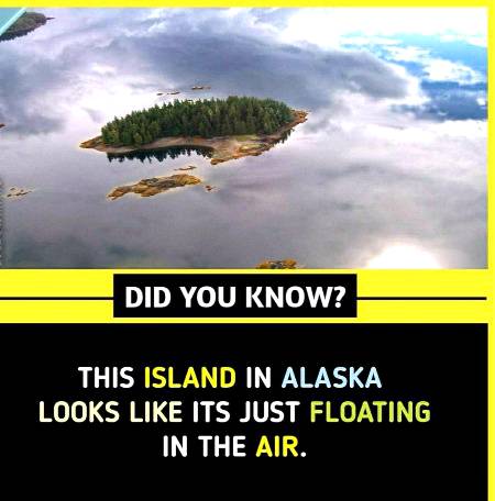 Did you know ?
