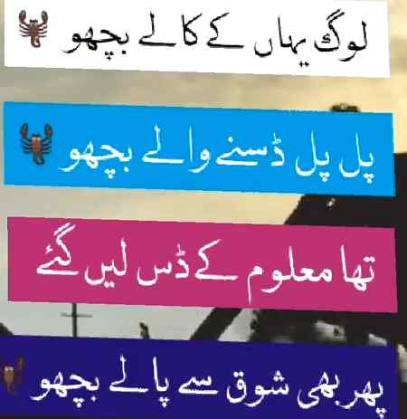 Bachooo jasay Log