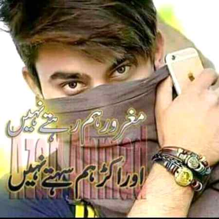 hlo friends