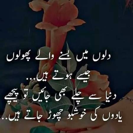Right ❤️💟👌💕💓💚💟💟💞👍