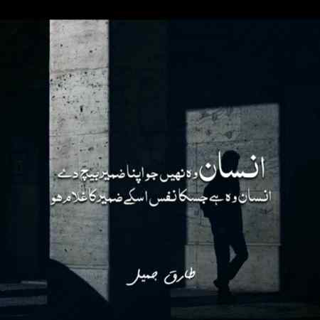 Insan or Zameer