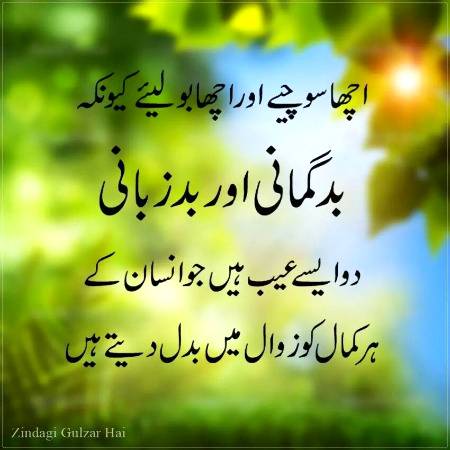اچھا سوچئیے اور
 اچھا بولیئے 
کیونکہ بدگمانی اور
 بدزبانی دو ایسے عیب ہیں
جو انسان کے ہر کمال 
کو زوال میں بدل دیتے ہیں۔