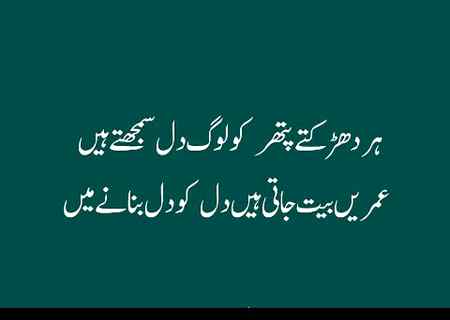 Zabardast❤❤❤❤