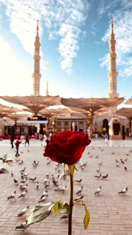 Arsa huaa Taibba ki galyon se wo guzry hain, is waqt galyon main khushbu hy paseny ki...!
