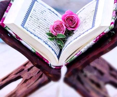 ہم گنہگاروں پہ یہ کتنا بڑا احسان ہے🤍🕋 یا خدا تو نے عطا کر دیا پھر رمضان ہے🕋🤍
🦅🥀💫✨