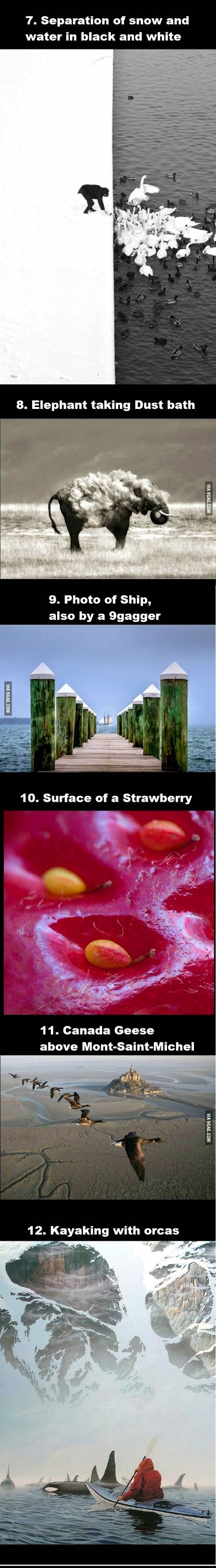 A collection of interesting pictures.
