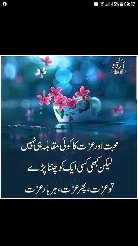 Sahiii....