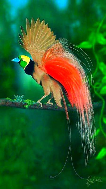 Beauty wild bird