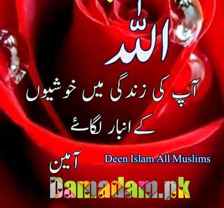 Ameen.q3 friends🙏🙏🌹🌹🙋🙋