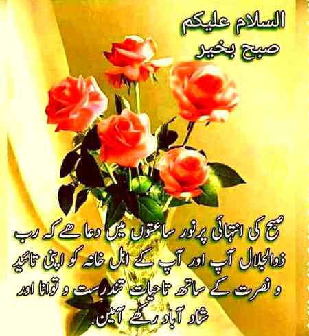 🌹🌹 .q1 🌹🌹