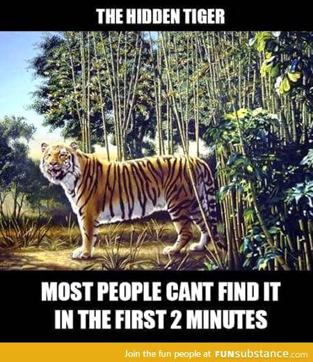 Solve the mystery guys .How is it Hidden?