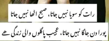 ﺟﻮ ﮔﺰﺭ ﮔﯿﺎ ﻣﺎﺿﯽ ' ﮐﻤﺎﻝ ﮐﺎ ﺗﮭﺎ🔥✌

ﺣﺎﻝ ﺟﻮ ﭼﻞ ﺭﮨﺎ ﮨﮯ ' ﺍﺱ ﭘﮯ ﺯﻣﺎﻧﮧ ﺟﻞ ﺭﮨﺎ ﮨﮯ❤