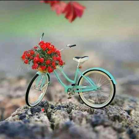 Sending by fareed ahmed shaikh