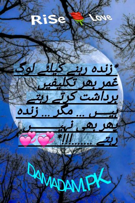 RIGHT... 🌹🌹