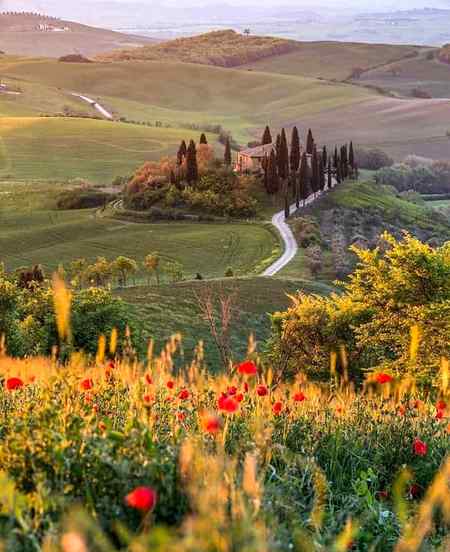 ☆☆ Tuscany | Italy ☆☆