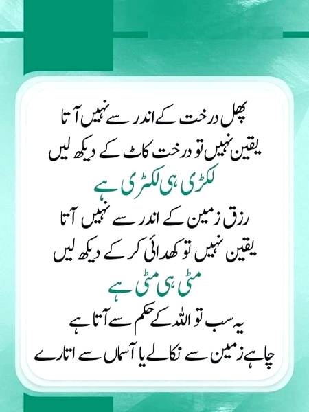 Be Shaq 乁༼☯‿☯✿༽ㄏ