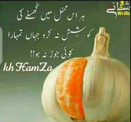Hr us mehfil may ghusnay ki koshish na kro (Kh.5💲)