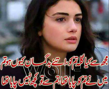 KOIE HY..G