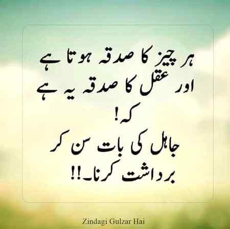Theek bat hai