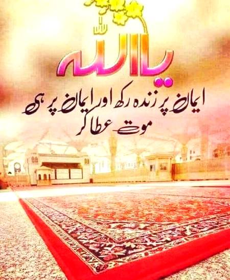 🍂🍁🌹🌷
اَللّٰهُ اَکْبَر اَللّٰهُ اَکْبَر، لَا اِلٰهَ اِلاَّ اللّٰهُ وَاللّٰهُ اَکْبَر، اَللهُ اَكْبَرْ وَِللهِ الْحمْدُاَللّٰهُ اَکْبَرکَبِیْرًا وَالْحَمْدُ ِلِلهِ کَثِیْرًا وَ سُبْحَانَ اللهِ بُکْرَةً وَّاَصِیْلاً🌷🌹🍂🍁
🌹🌹🌹صلی اللہ علی حبیبہ محمد نور من نوراللہ وعلی آلہ واہل بیتہ وعترتہ وازواجہ وصحبہ وجدہ وذریتہ و کل امتہ وبارک وسلم کثیراً کثیرا و دائماً ابدا 🌹🌹🌹
