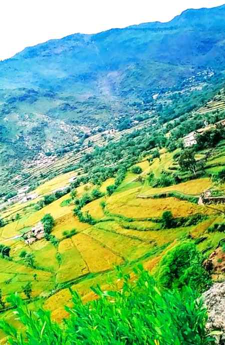My Home Vellege Mayar ,,,😘