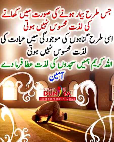 Ameen g .gunnah ma maza boht ata ha pr anjaam boht bura ha.