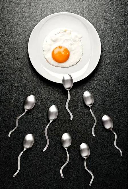 PhOtoGraPhy...